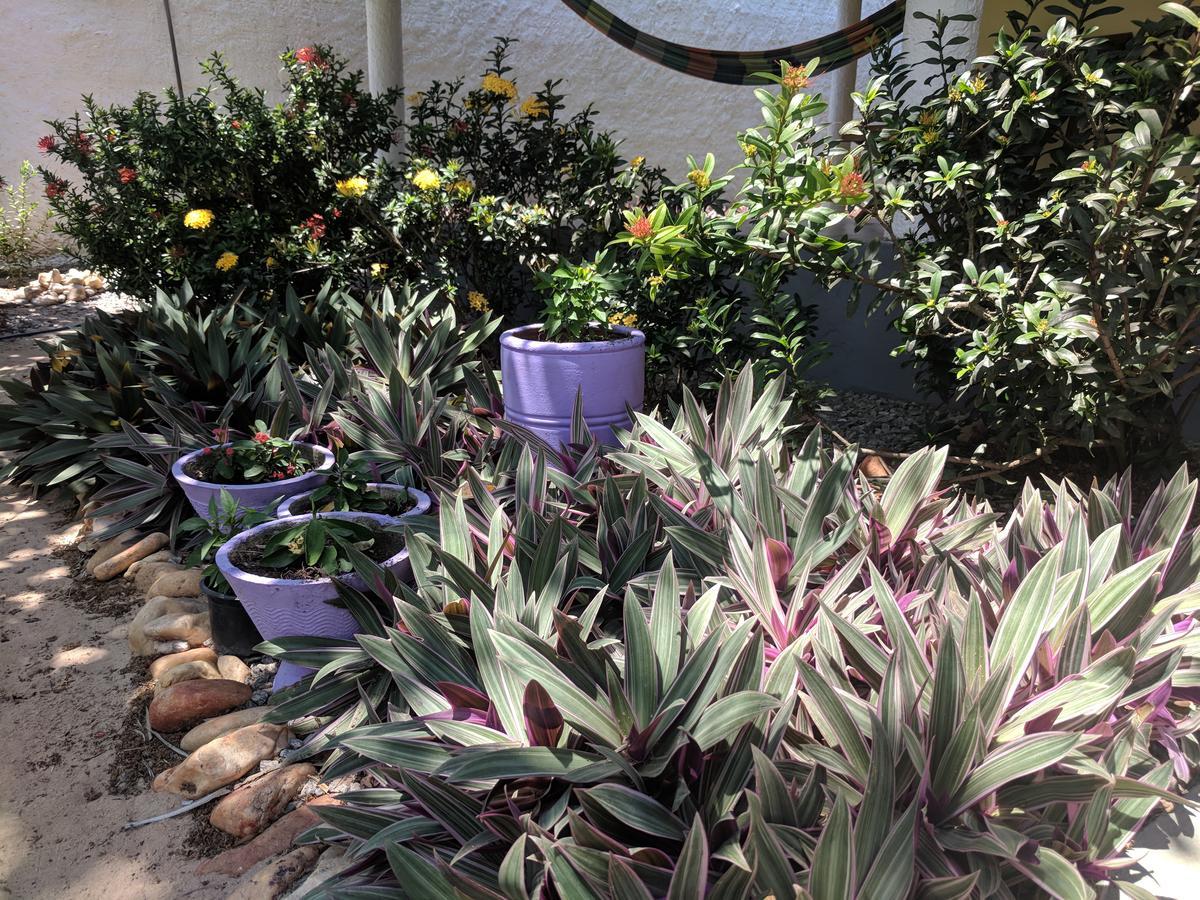 Bed and breakfast Jardins Lagoinha (Ceara)